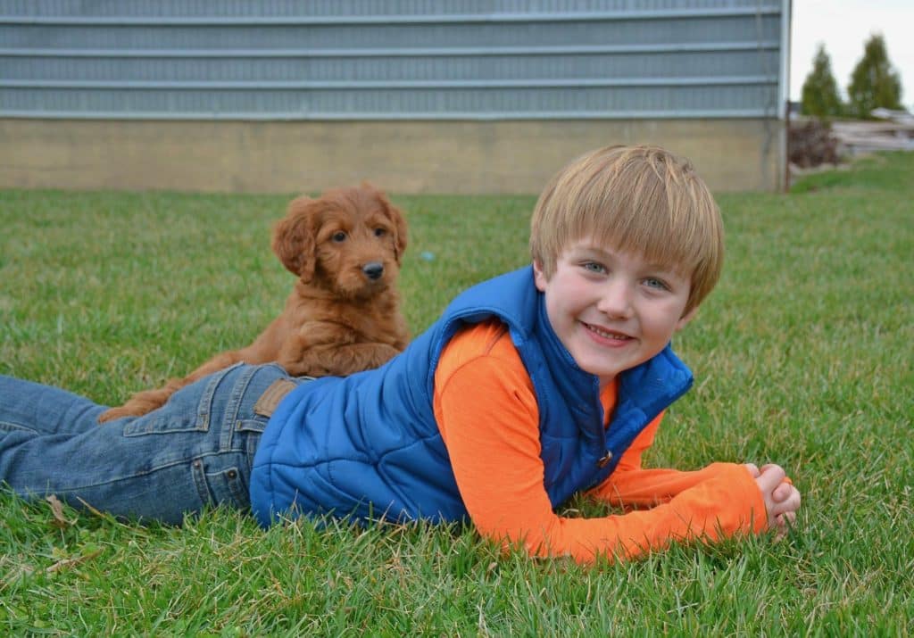 Sunshine Acre's Irish Goldendoodle Gallery of Goldendoodle puppy with happy owner