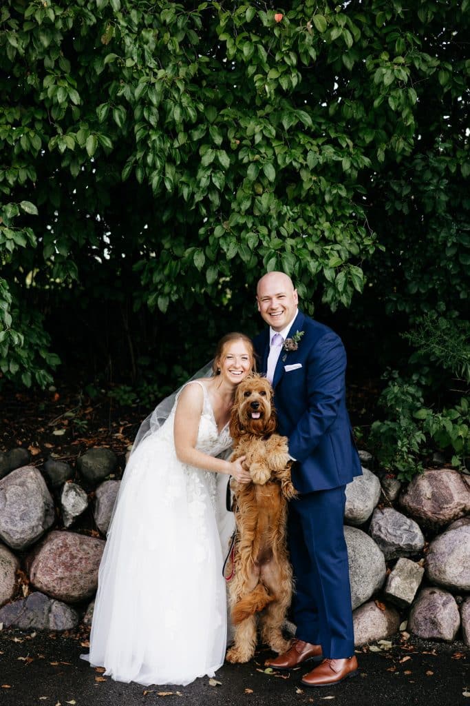 Sunshine Acre's Irish Goldendoodle Gallery of adult Goldendoodle with newlywed owners