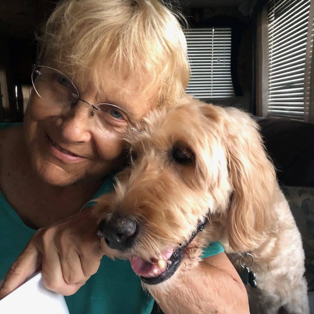 Sunshine Acre's Irish Goldendoodle adult with happy owner