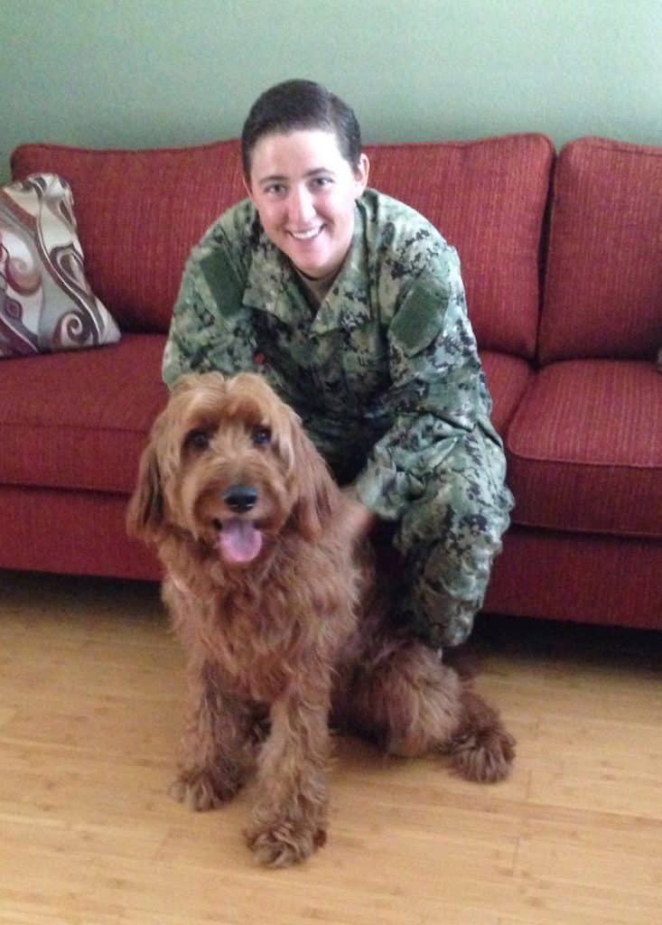 Sunshine Acre's Irish Goldendoodle Gallery of adult Goldendoodle with happy soldier