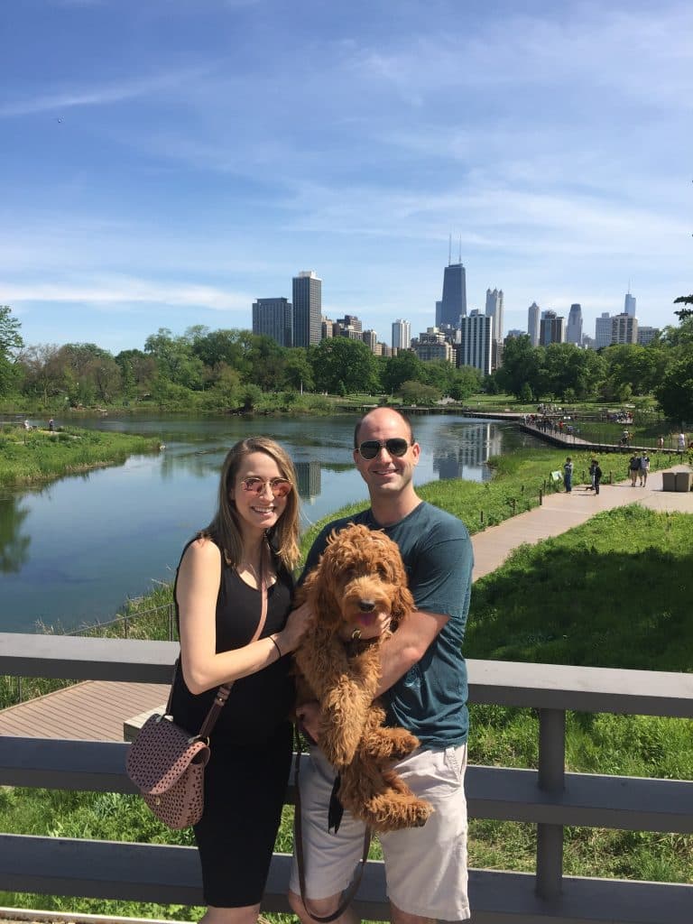 Sunshine Acre's Irish Goldendoodle Gallery with happy family in chicago